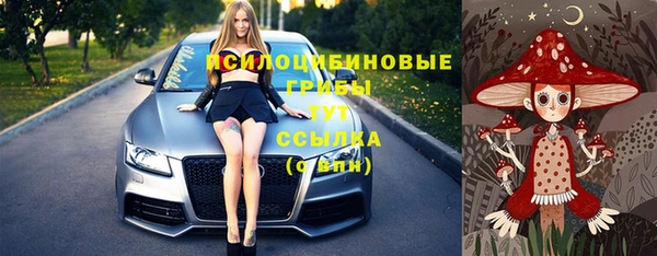 apvp Осташков